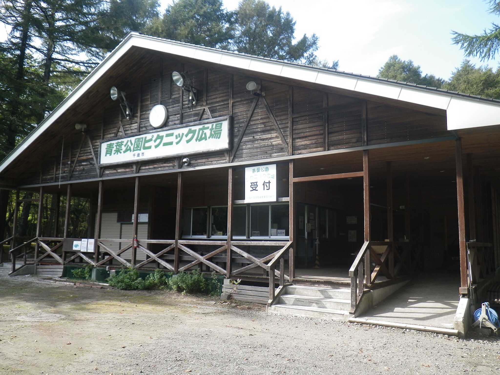 スタッフからの一言