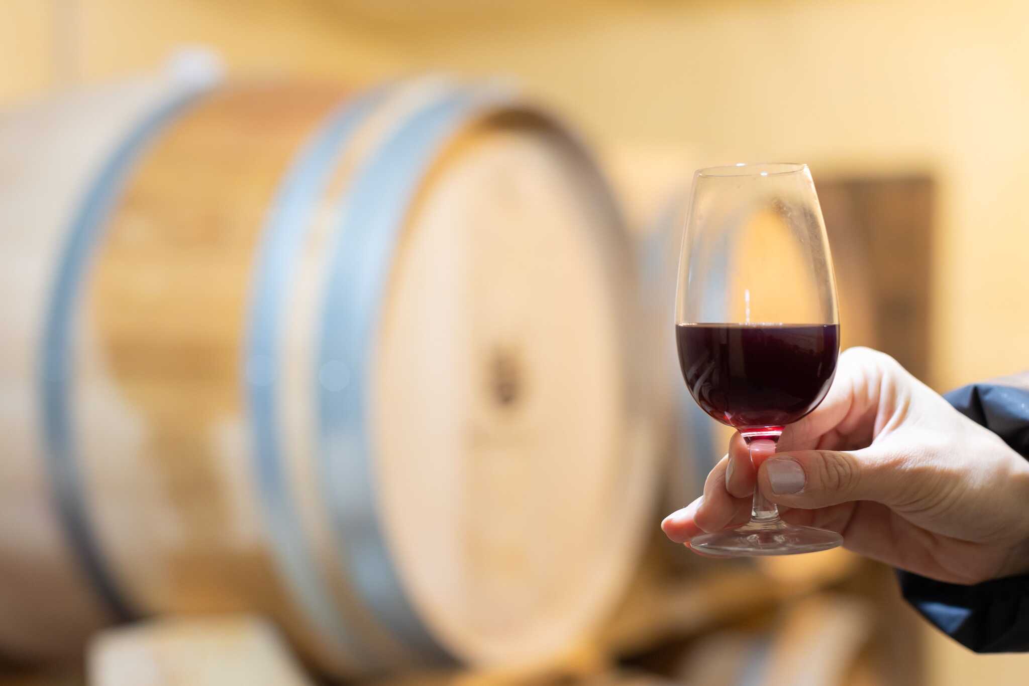 十勝まきばの家 Winery & Campfield