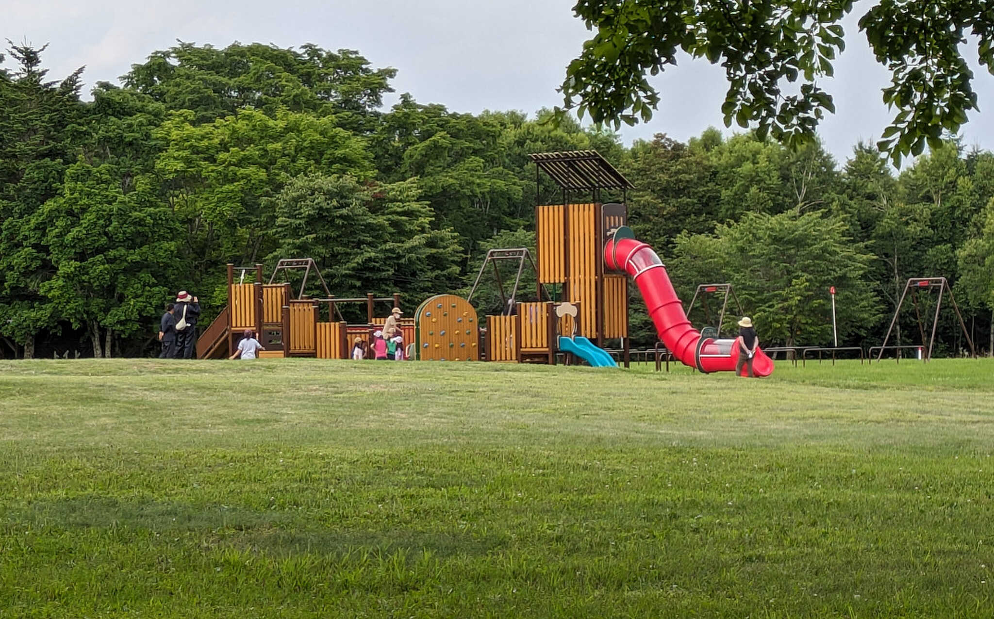 緑ヶ丘森林公園キャンプ場の写真 5枚目