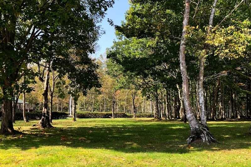 ふうれん望湖台自然公園キャンプ場の写真 4枚目