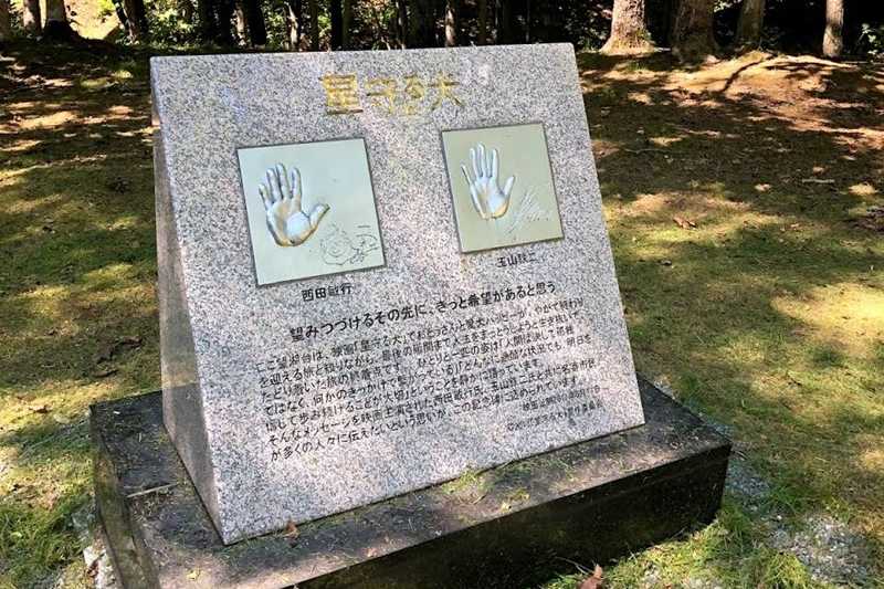 ふうれん望湖台自然公園キャンプ場 photo 5