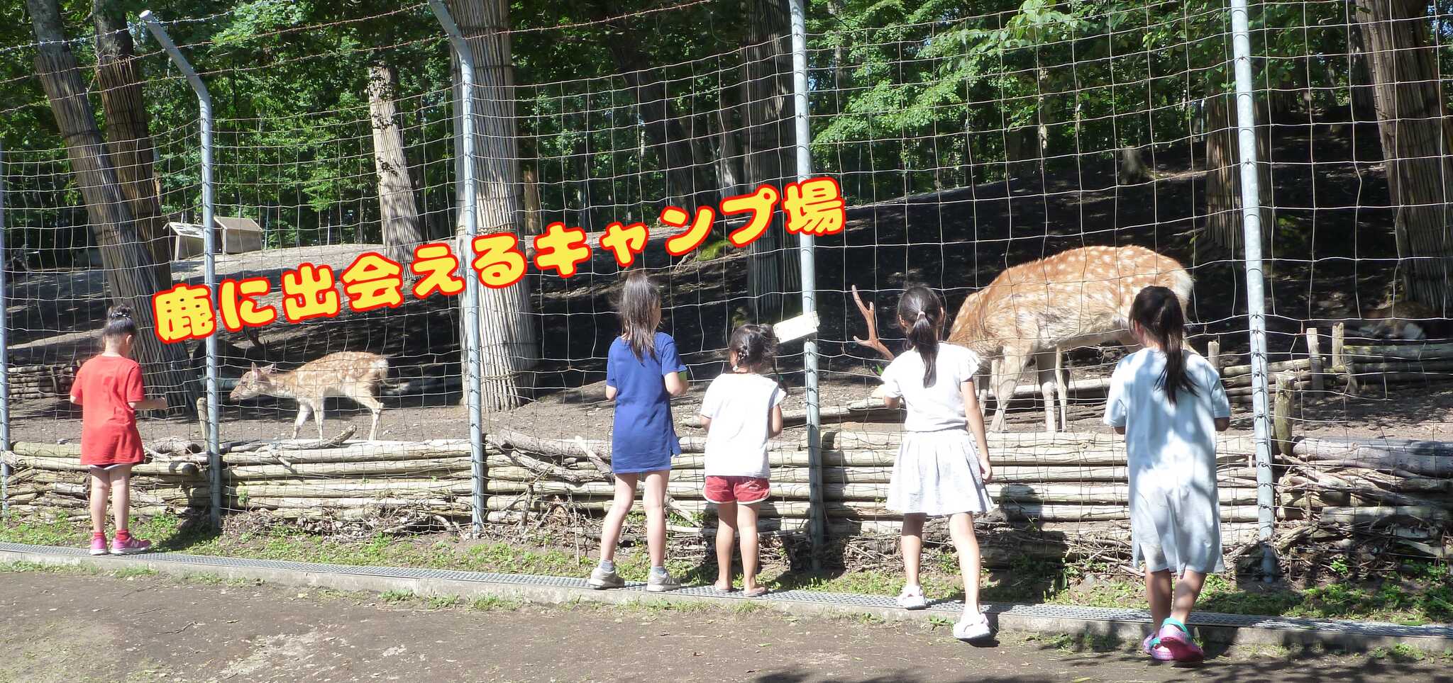 安平町鹿公園キャンプ場