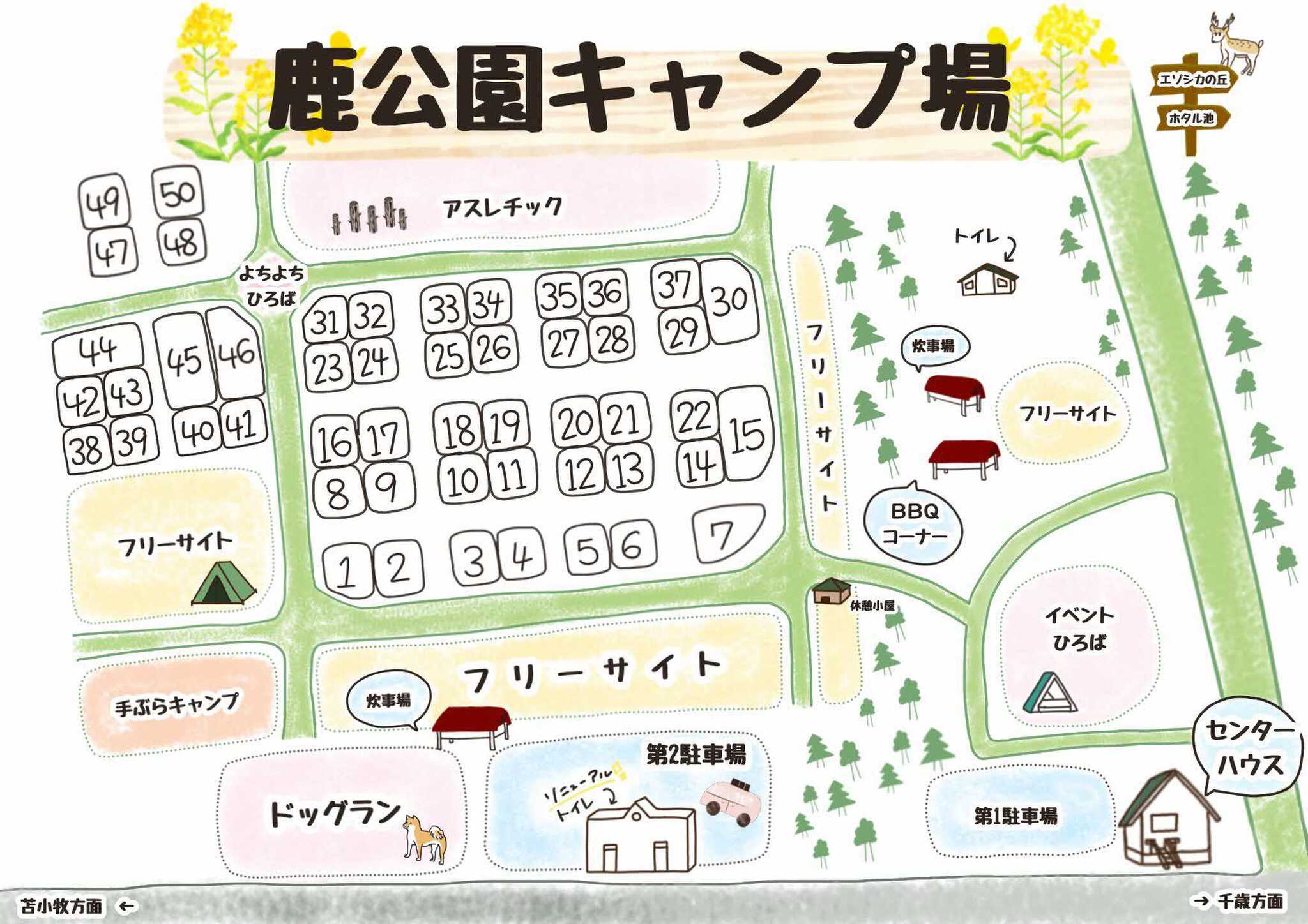 安平町鹿公園キャンプ場の写真 4枚目