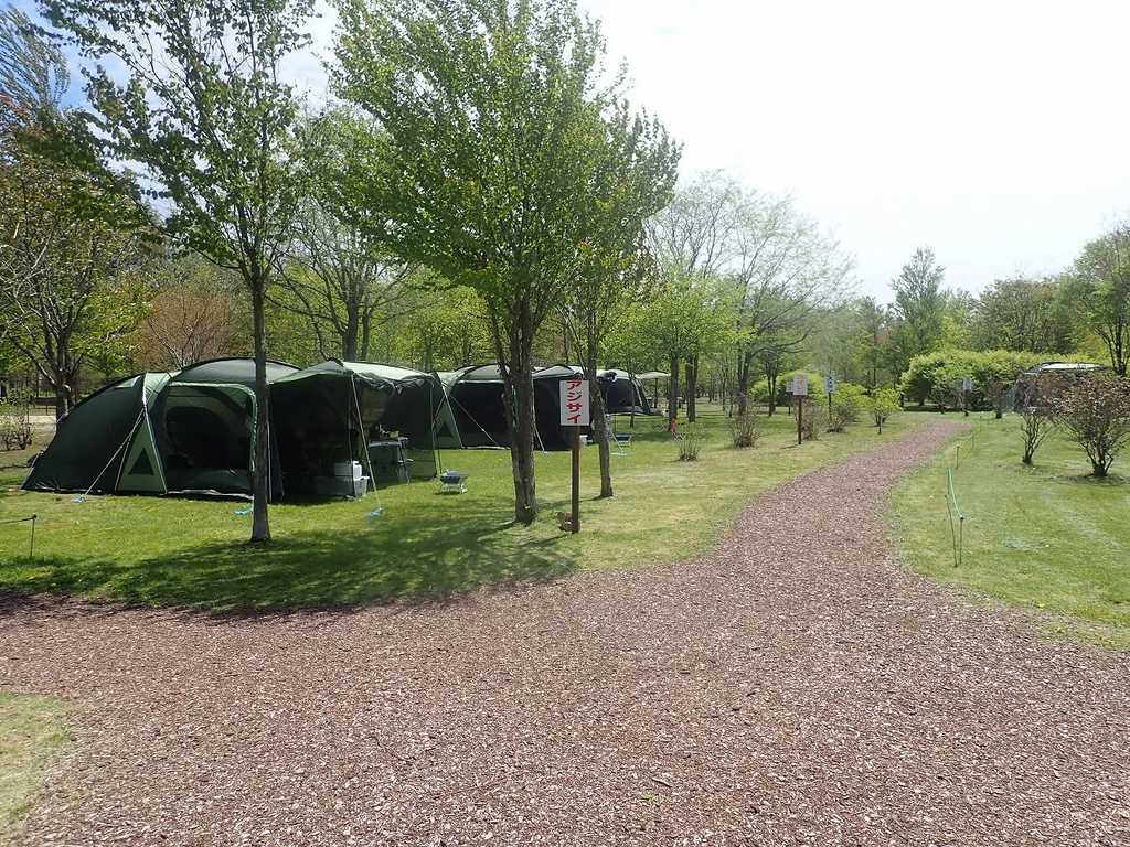 安平町鹿公園キャンプ場 photo 4