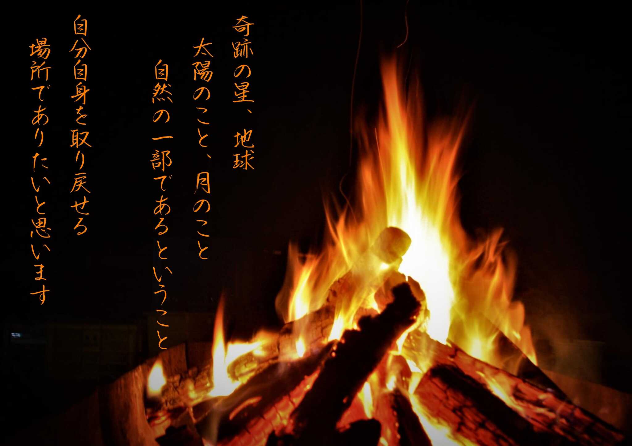 キャンプはまさに自然との共存。日常では感じれない自然の息吹を感じに来てください。