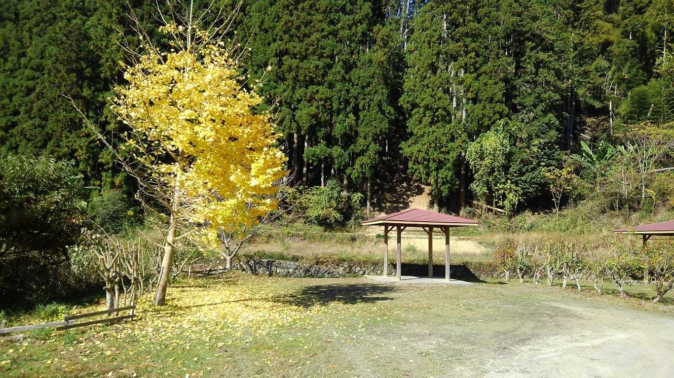 毛原オートキャンプ場 photo 5