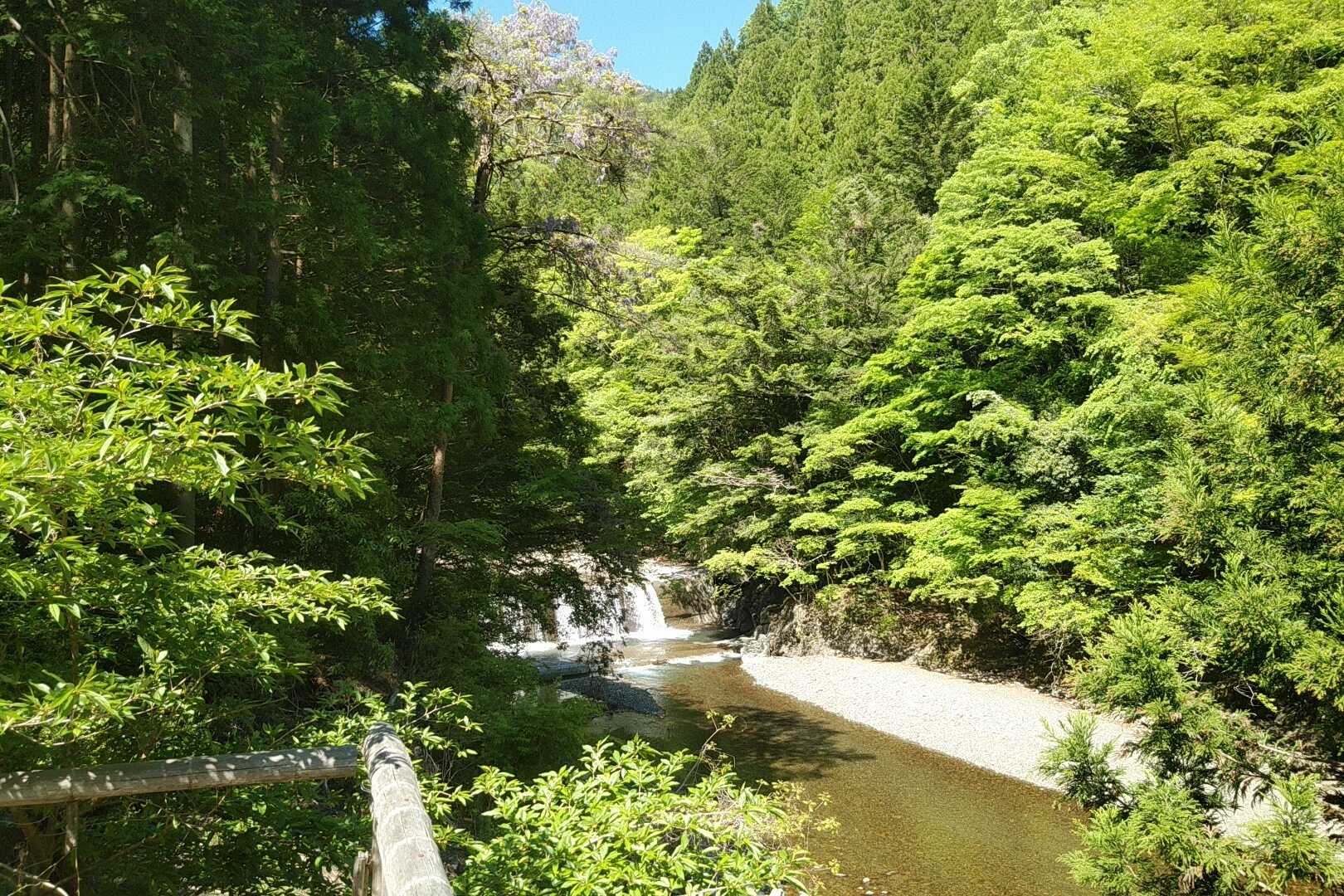 キャンプ場のすぐ下には綺麗な渓流が流れています。