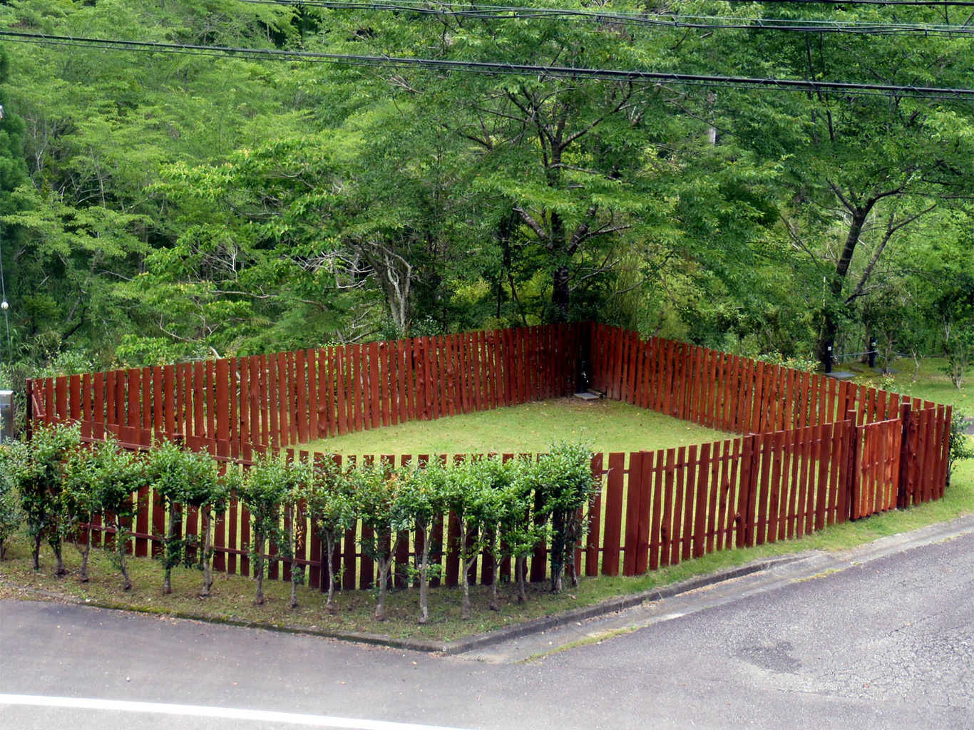 円満地公園オートキャンプ場 photo 2
