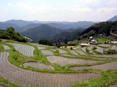 円満地公園オートキャンプ場 photo 3