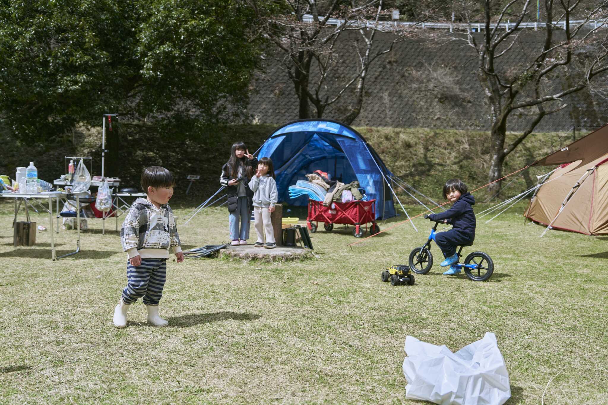 遠井キャンプ場の写真 2枚目