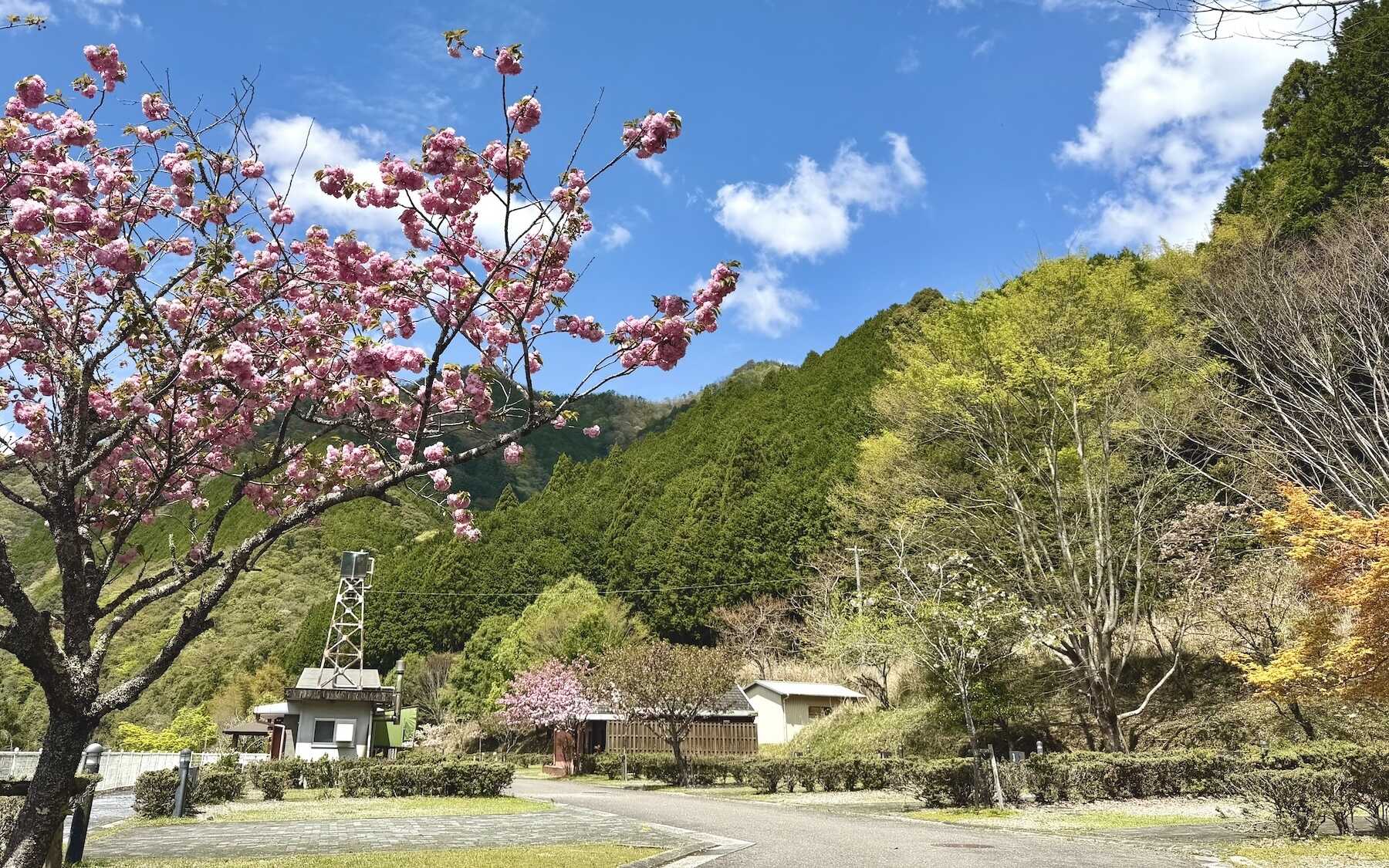 ふれあいの丘オートキャンプ場