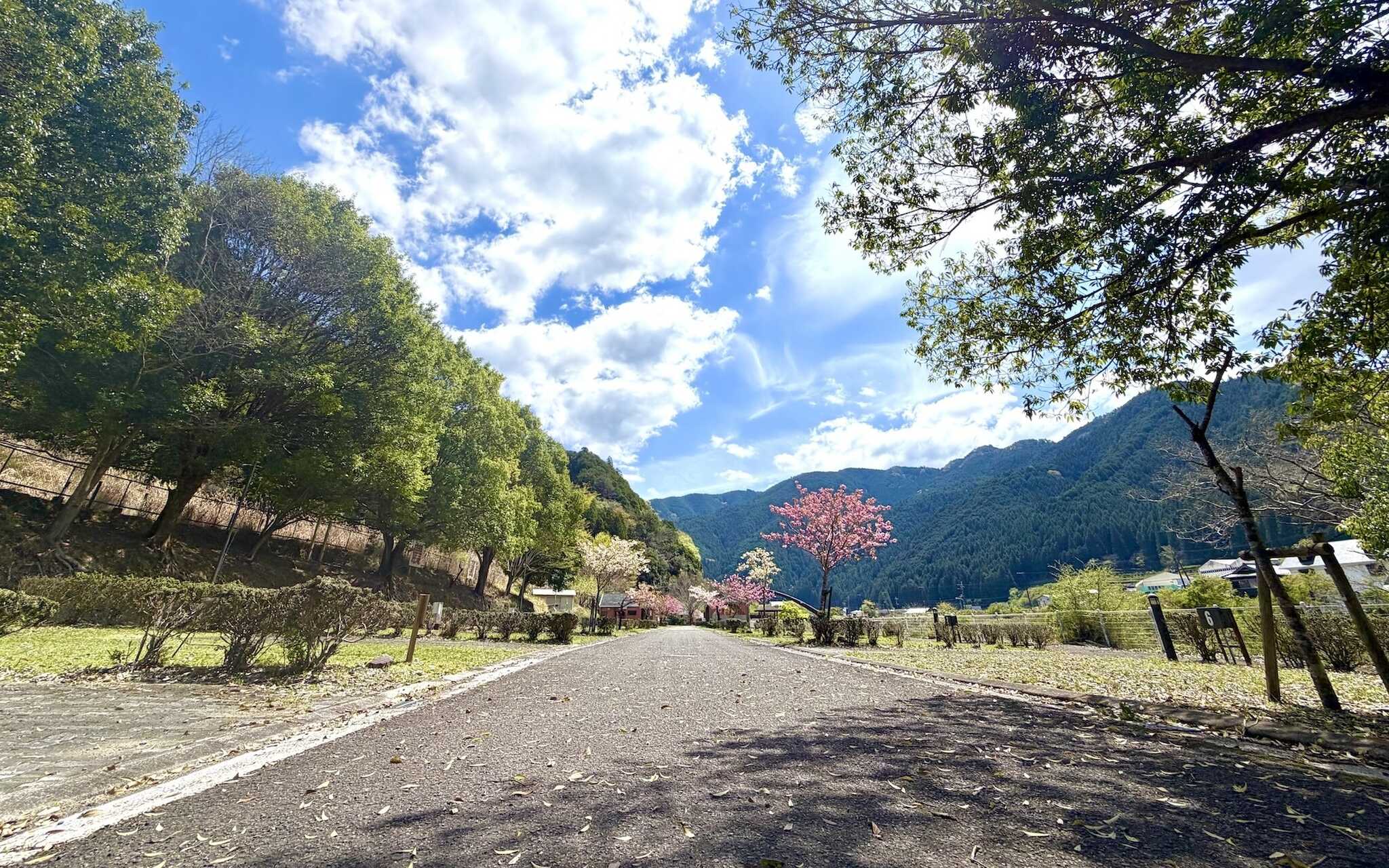 ふれあいの丘オートキャンプ場の写真 2枚目