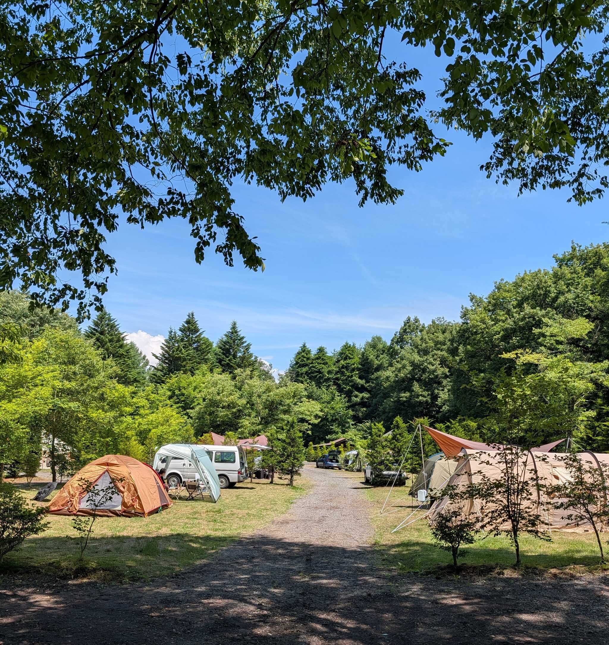 くるみの森企画