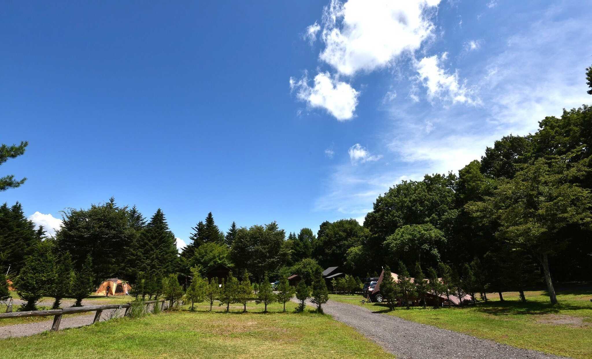 くるみの森キャンプ場