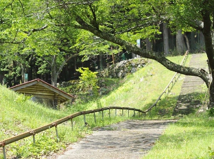 天滝公園キャンプ場 photo 2