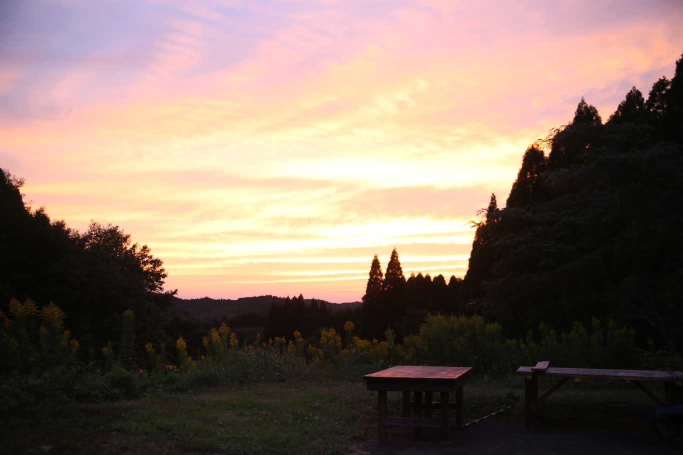 服掛松キャンプ場 photo 2