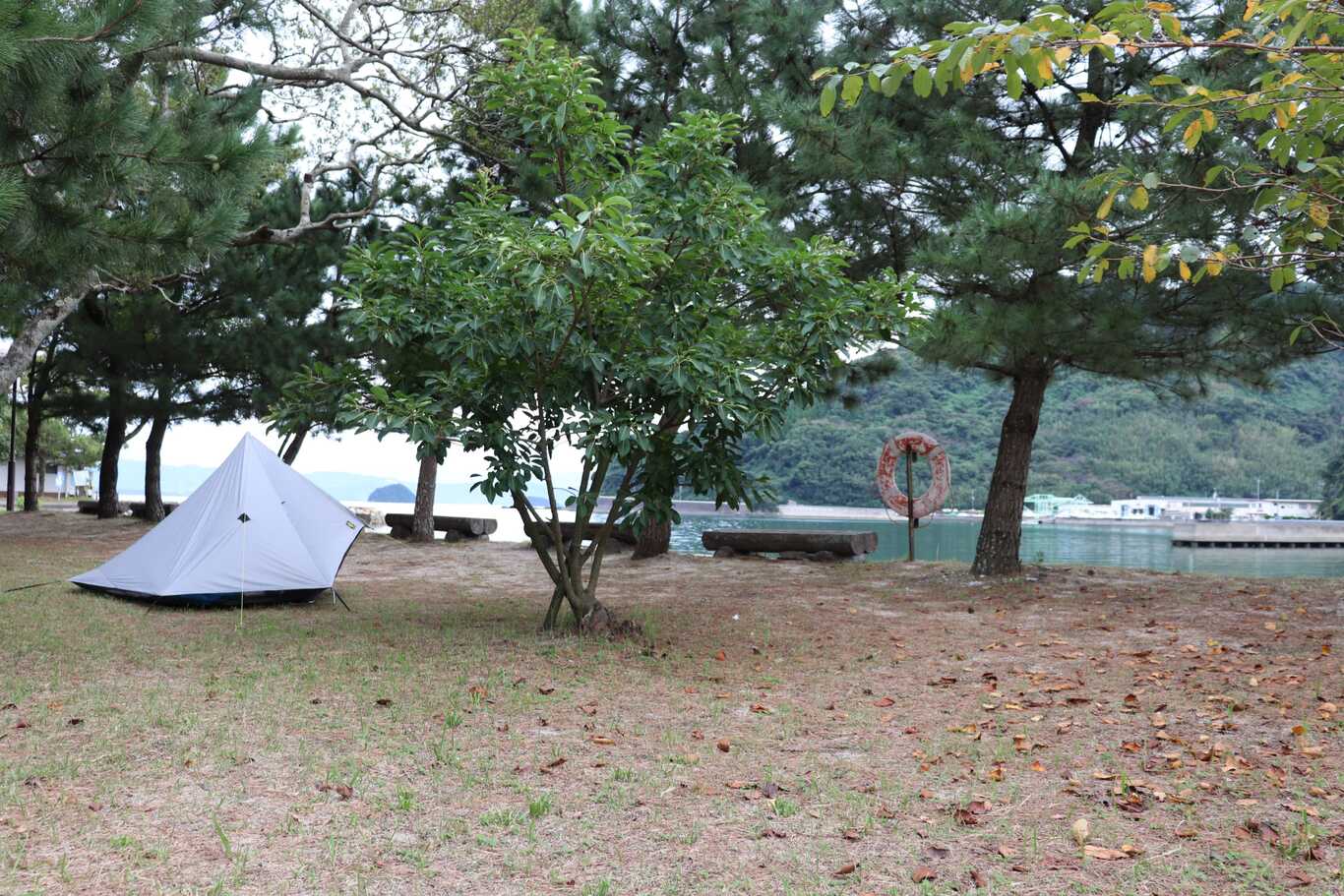 諏訪公園キャンプ場 photo 3