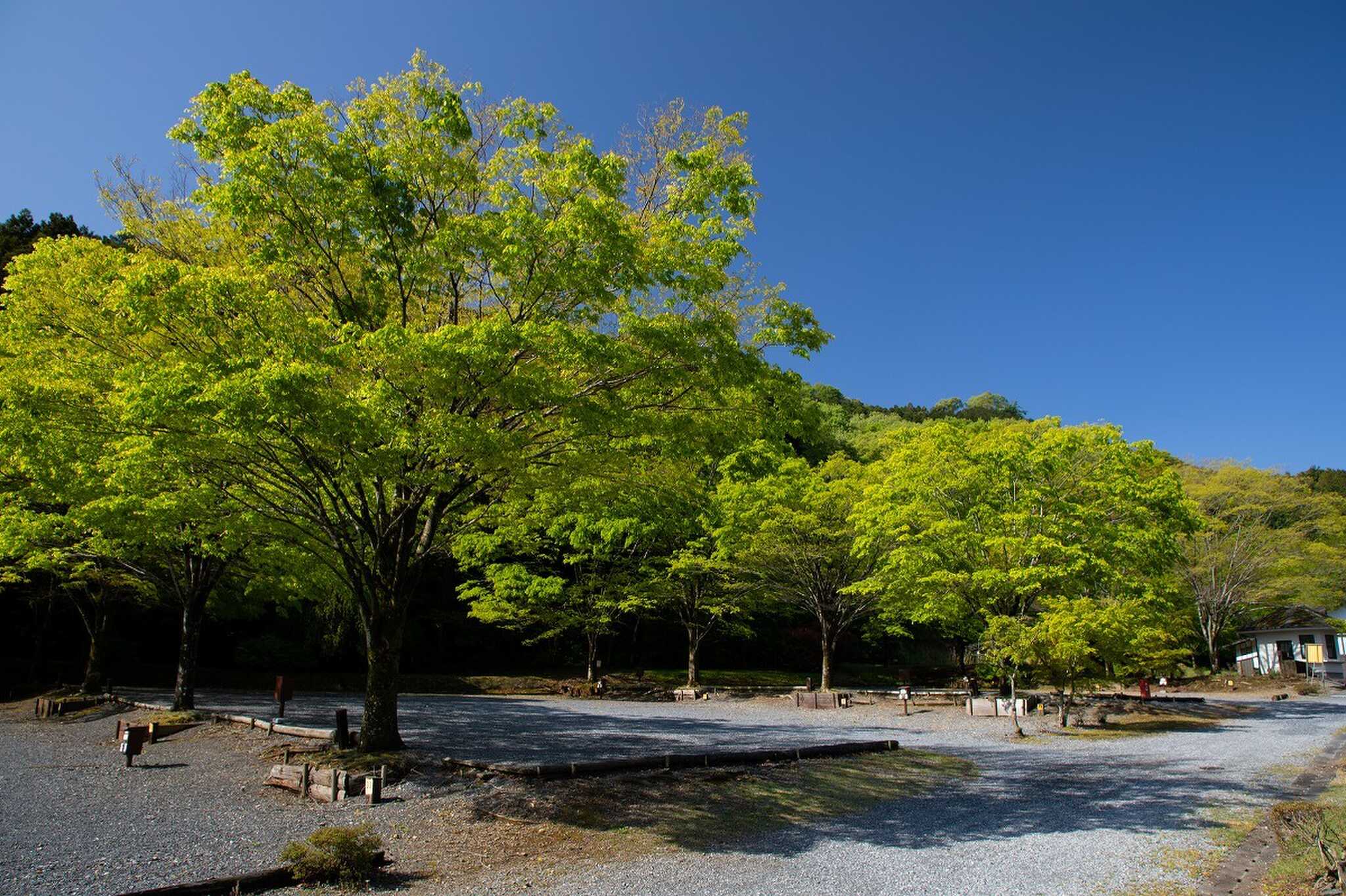 毛呂山町ゆずの里オートキャンプ場