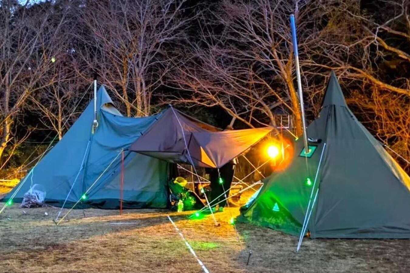 ネットワークリゾートなんせい