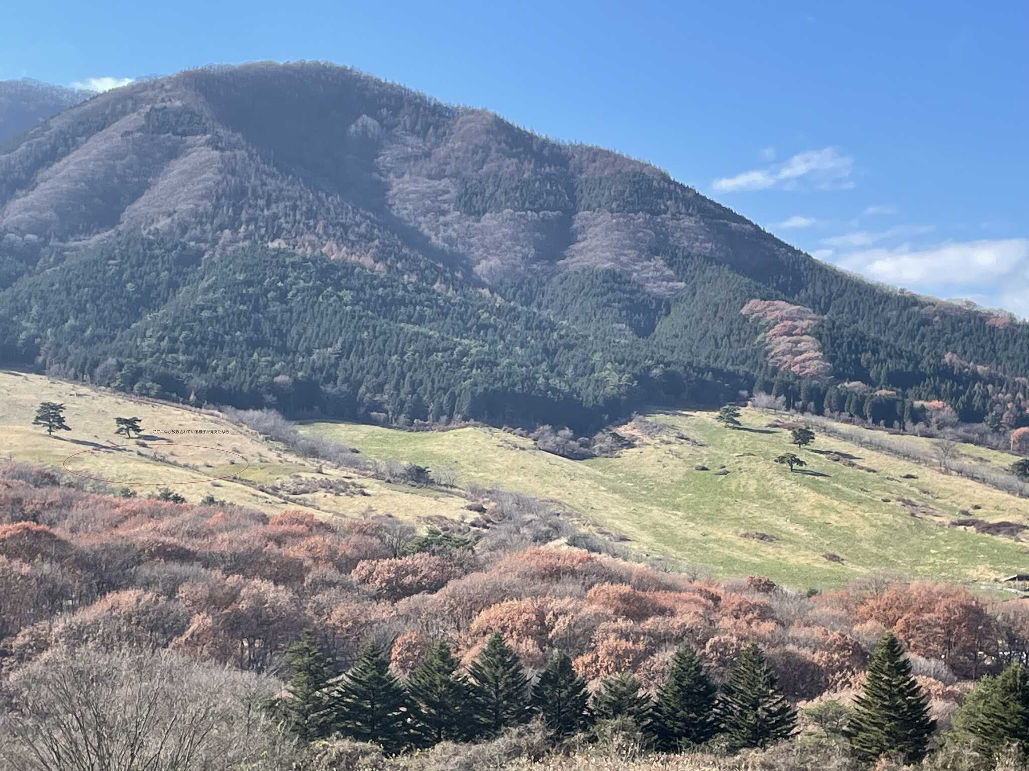 みどりの村キャンプ場