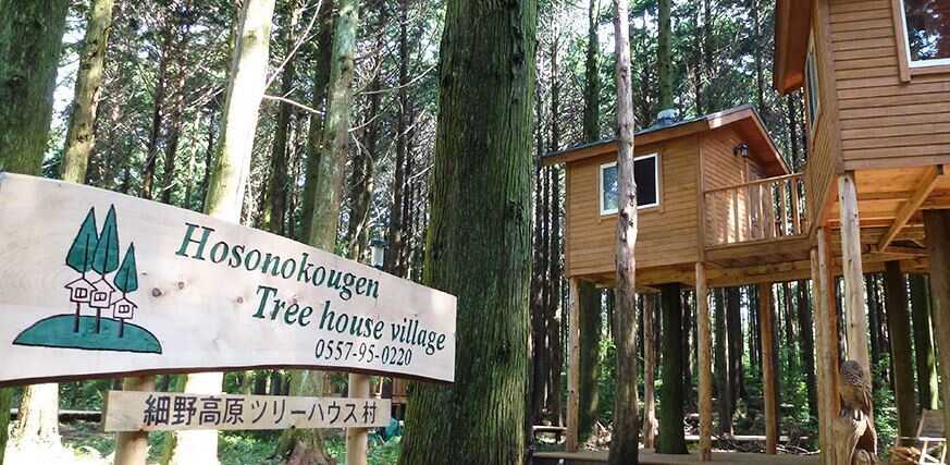 細野高原ツリーハウス村キャンプ場