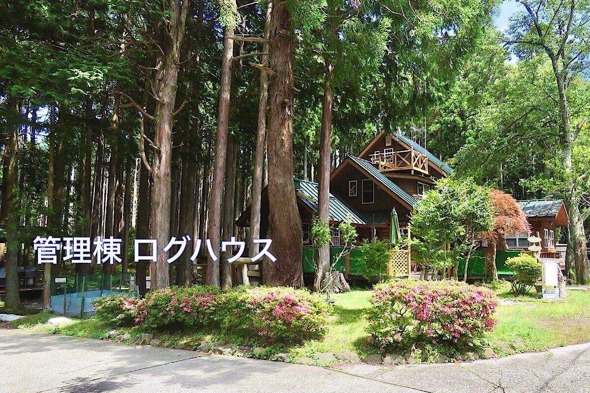 細野高原ツリーハウス村キャンプ場の写真 1枚目
