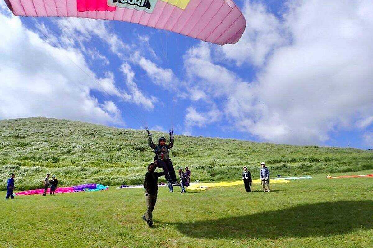 伊豆ジオパークに認定!絶景の三筋山細野高原でハイキングやパラグライダーを楽しもう!