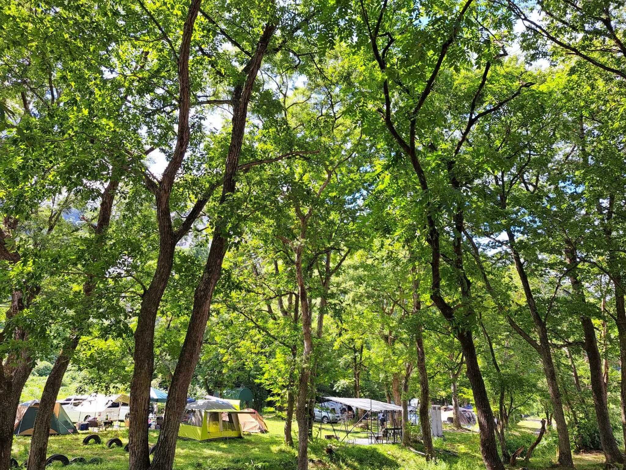 RIVERSIDE VILLAGE(旧:湯沢リバーサイドキャンプサイト&カフェ)の写真 4枚目