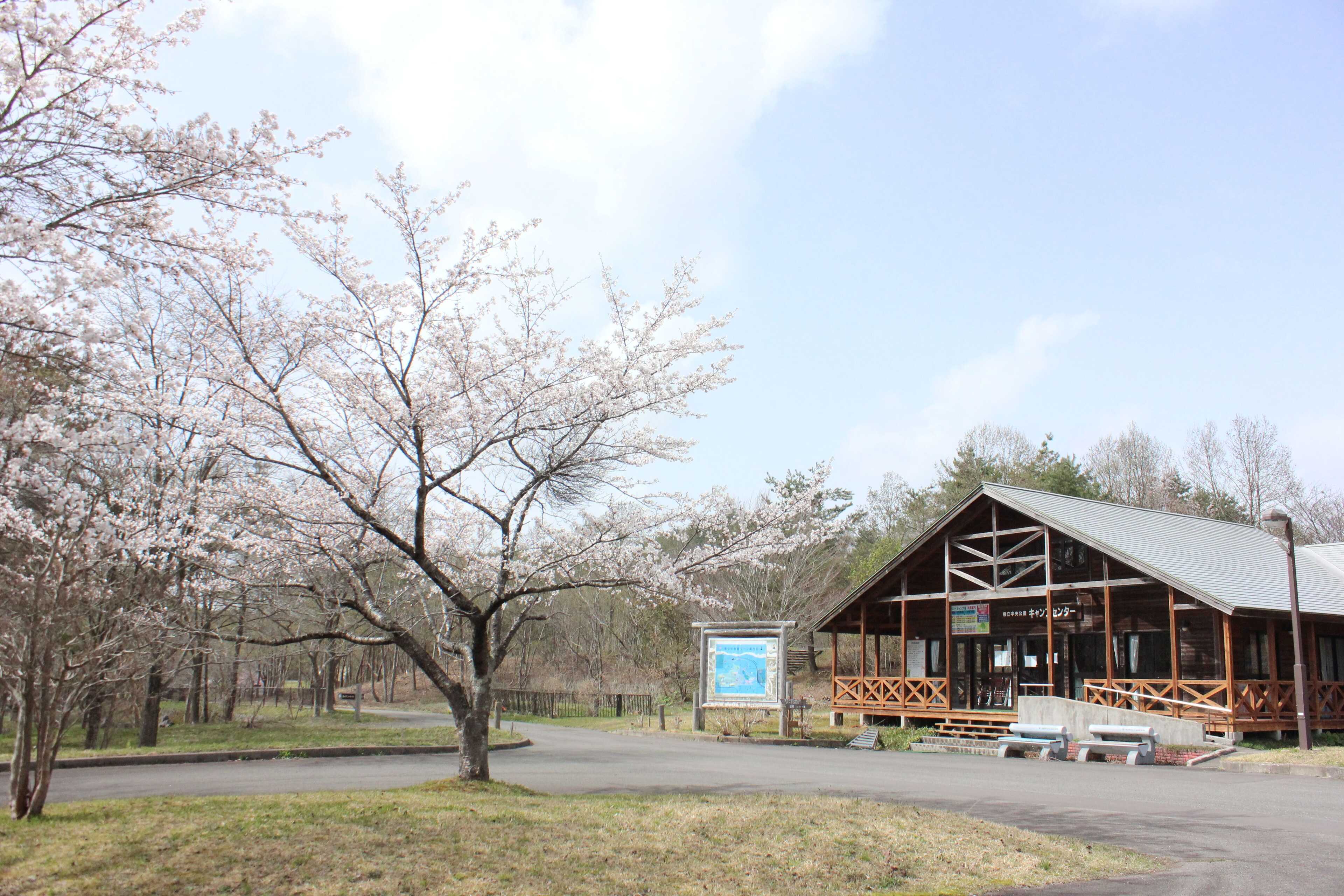 秋田県立中央公園ファミリーキャンプ場