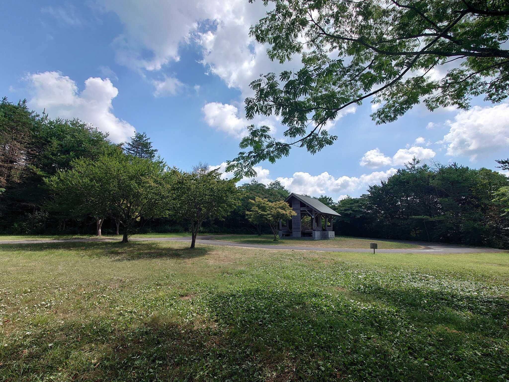 秋田県立中央公園ファミリーキャンプ場の写真 5枚目