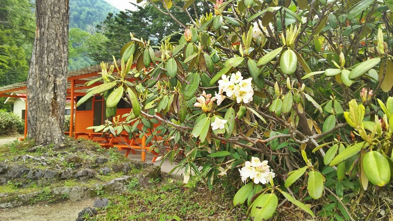 菅沼キャンプ村 photo 5