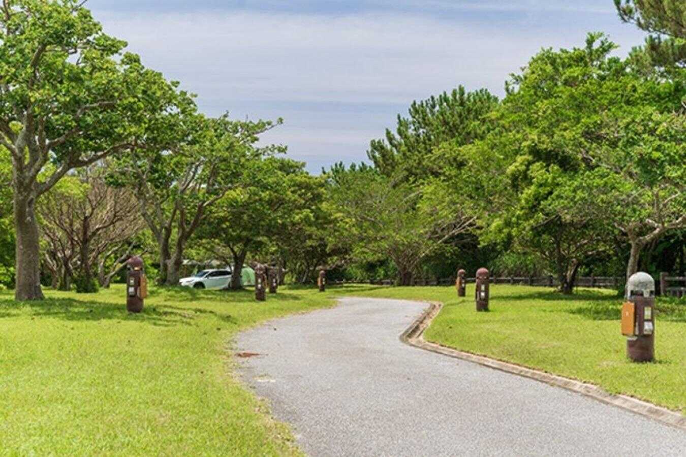 やんばる学びの森の写真 4枚目