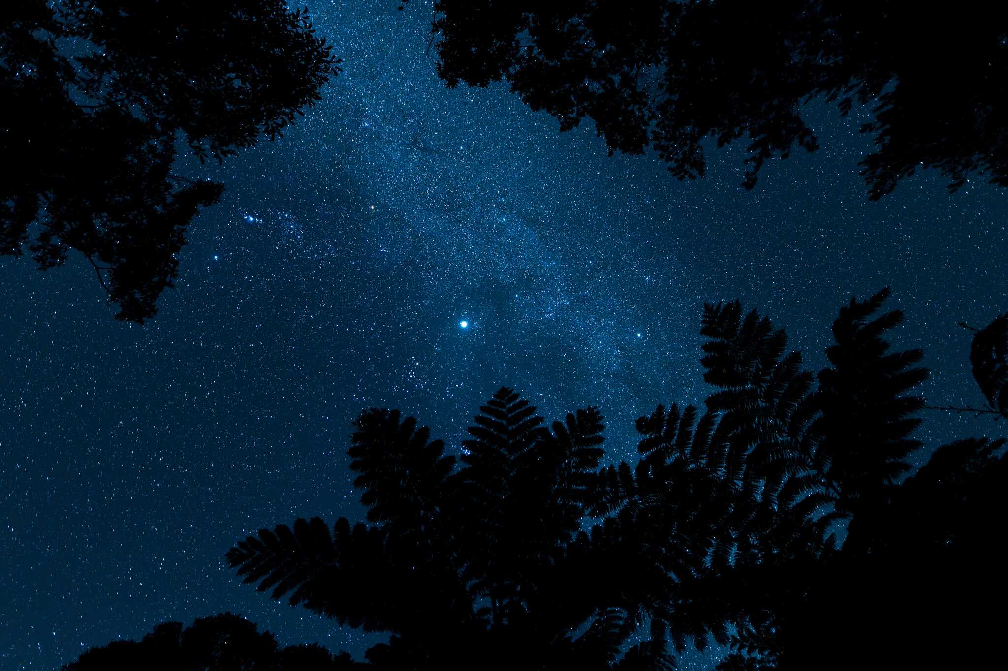 天気の良い日は満天の星空が観られます。