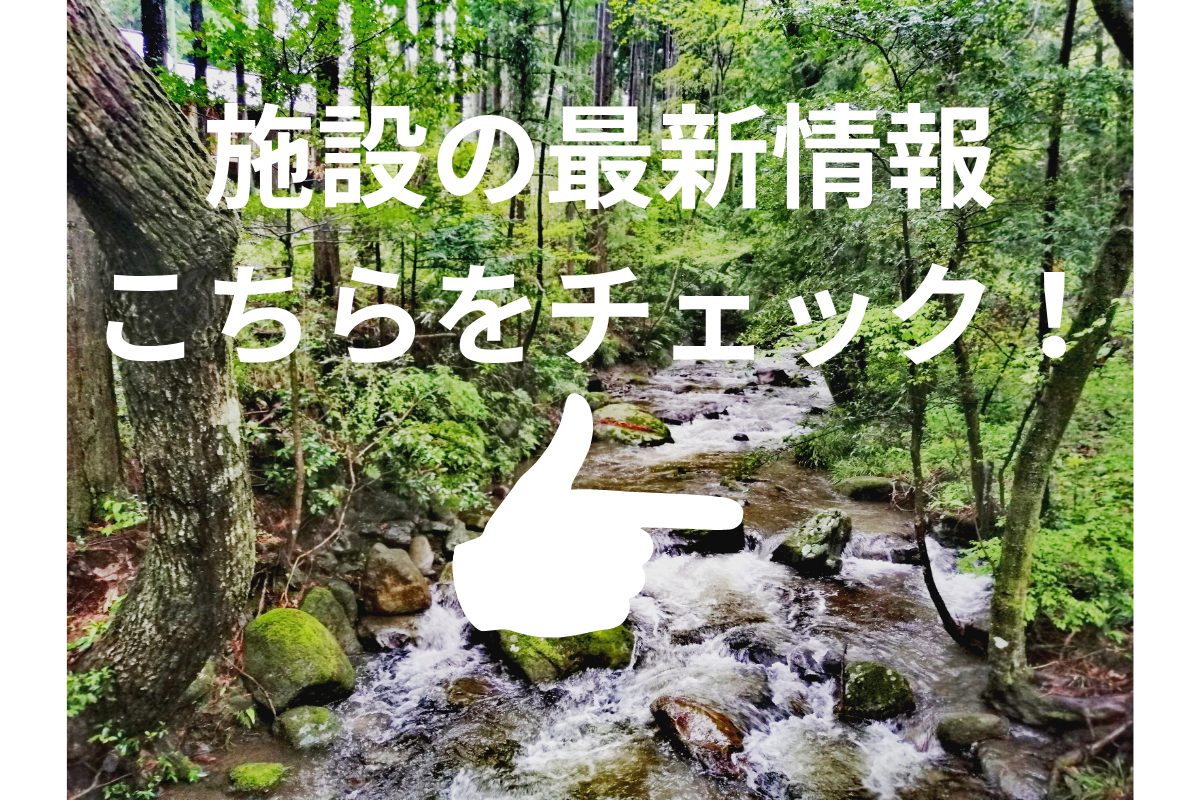 スタッフ