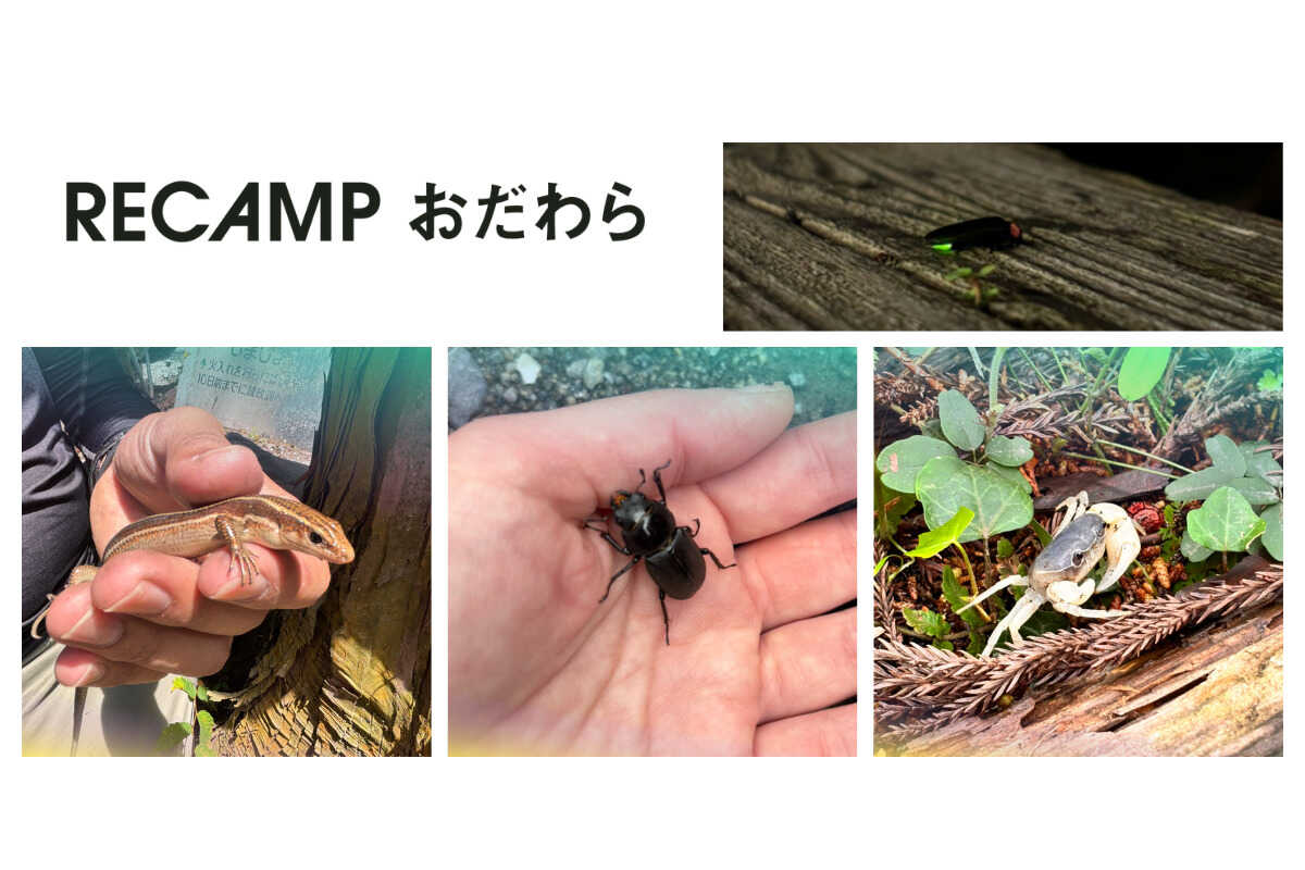 小田原市 いこいの森 RECAMP おだわら