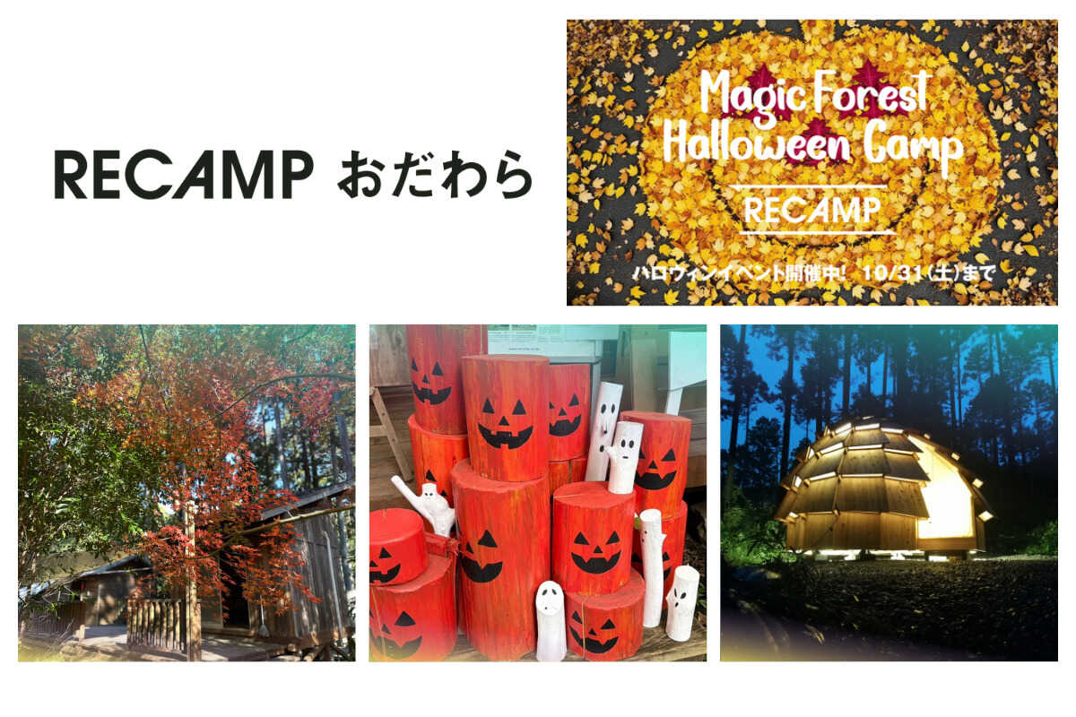 小田原市 いこいの森 RECAMP おだわら