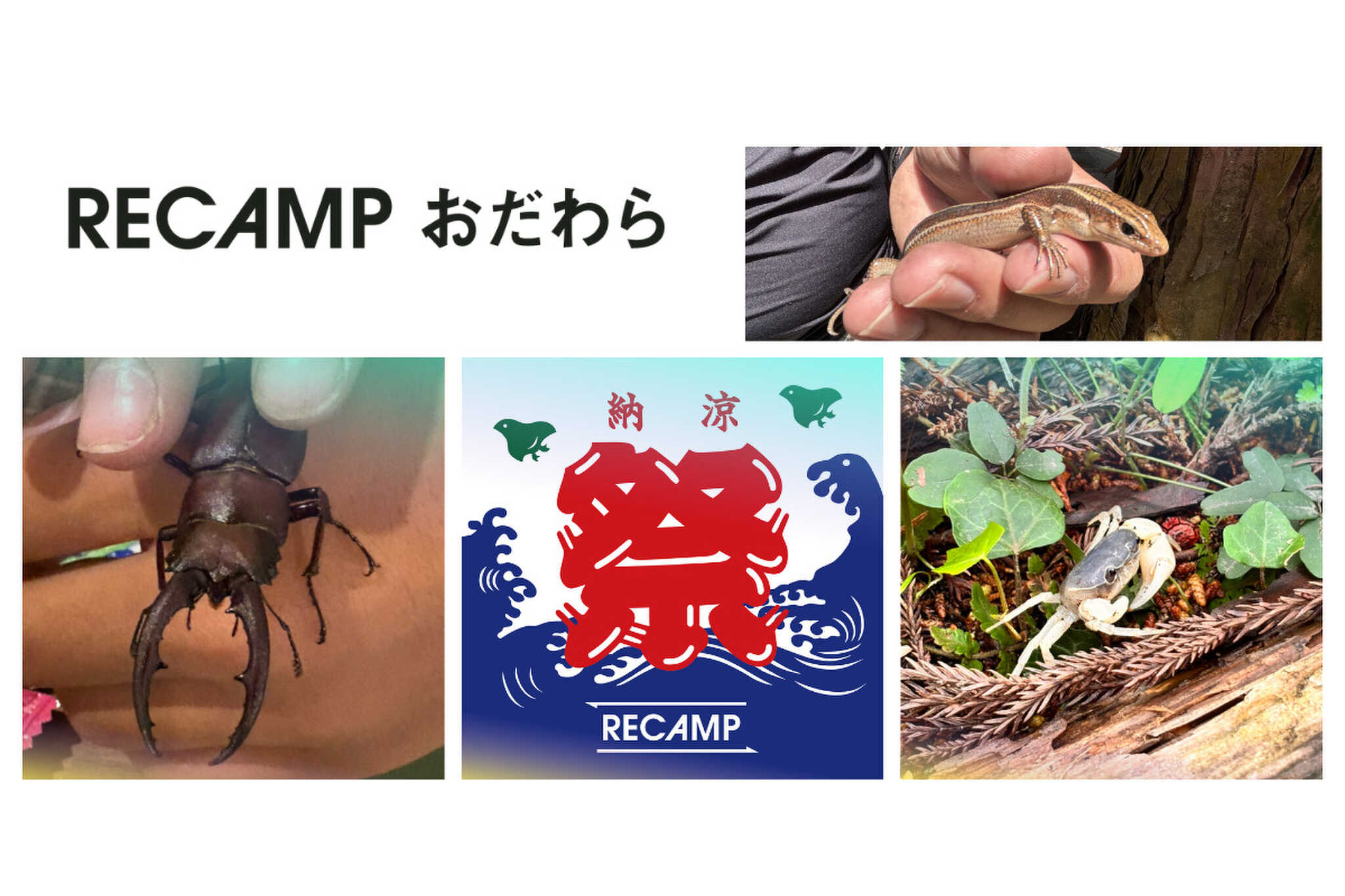 小田原市 いこいの森 RECAMP おだわらの写真 1枚目