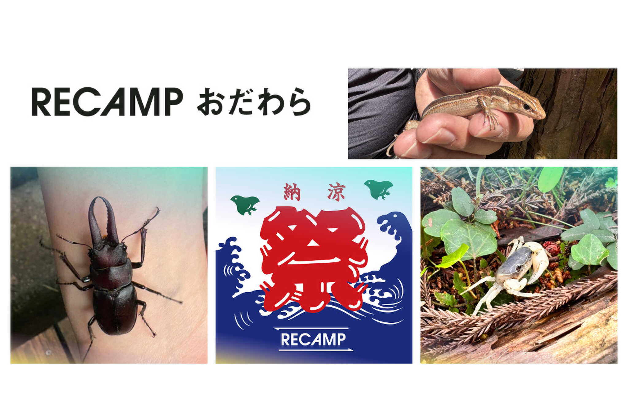 小田原市 いこいの森 RECAMP おだわらの写真 1枚目