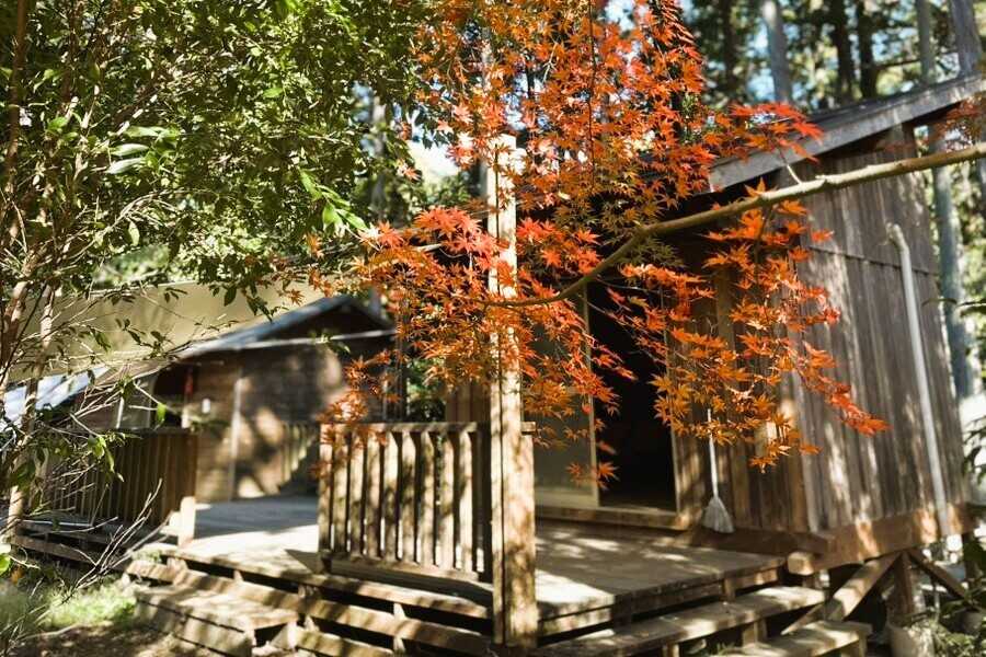 小田原市 いこいの森 RECAMP おだわらの写真 1枚目