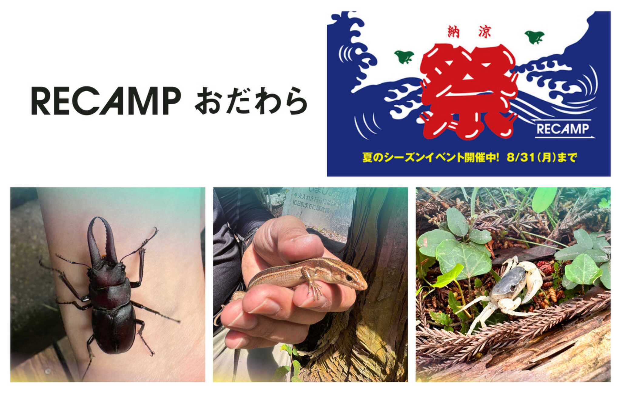 小田原市 いこいの森 RECAMP おだわらの写真 1枚目