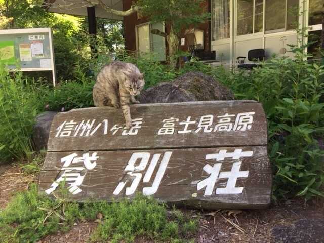 富士見高原リゾート 貸別荘の写真 1枚目