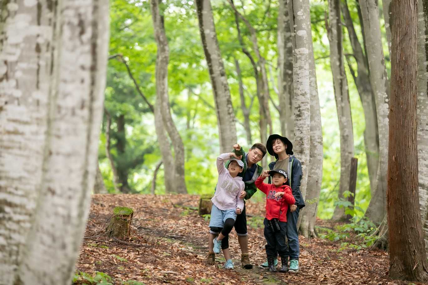 なべくら高原・森の家 photo 5
