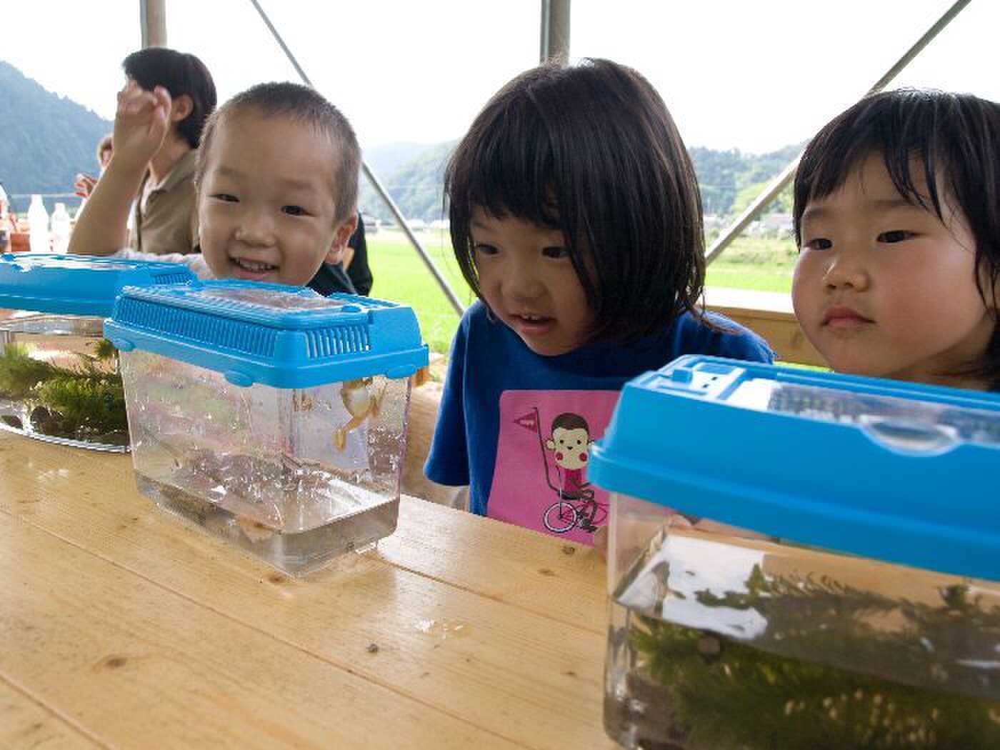 こだま荘の写真 1枚目