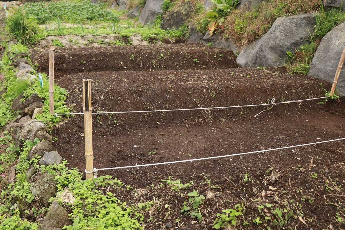 富士ヶ嶺・おいしいキャンプ場