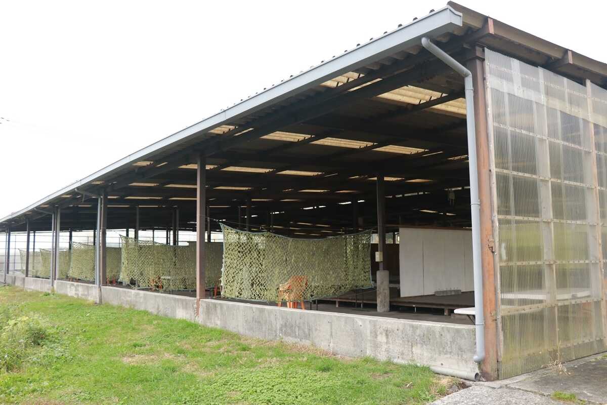 富士ヶ嶺・おいしいキャンプ場