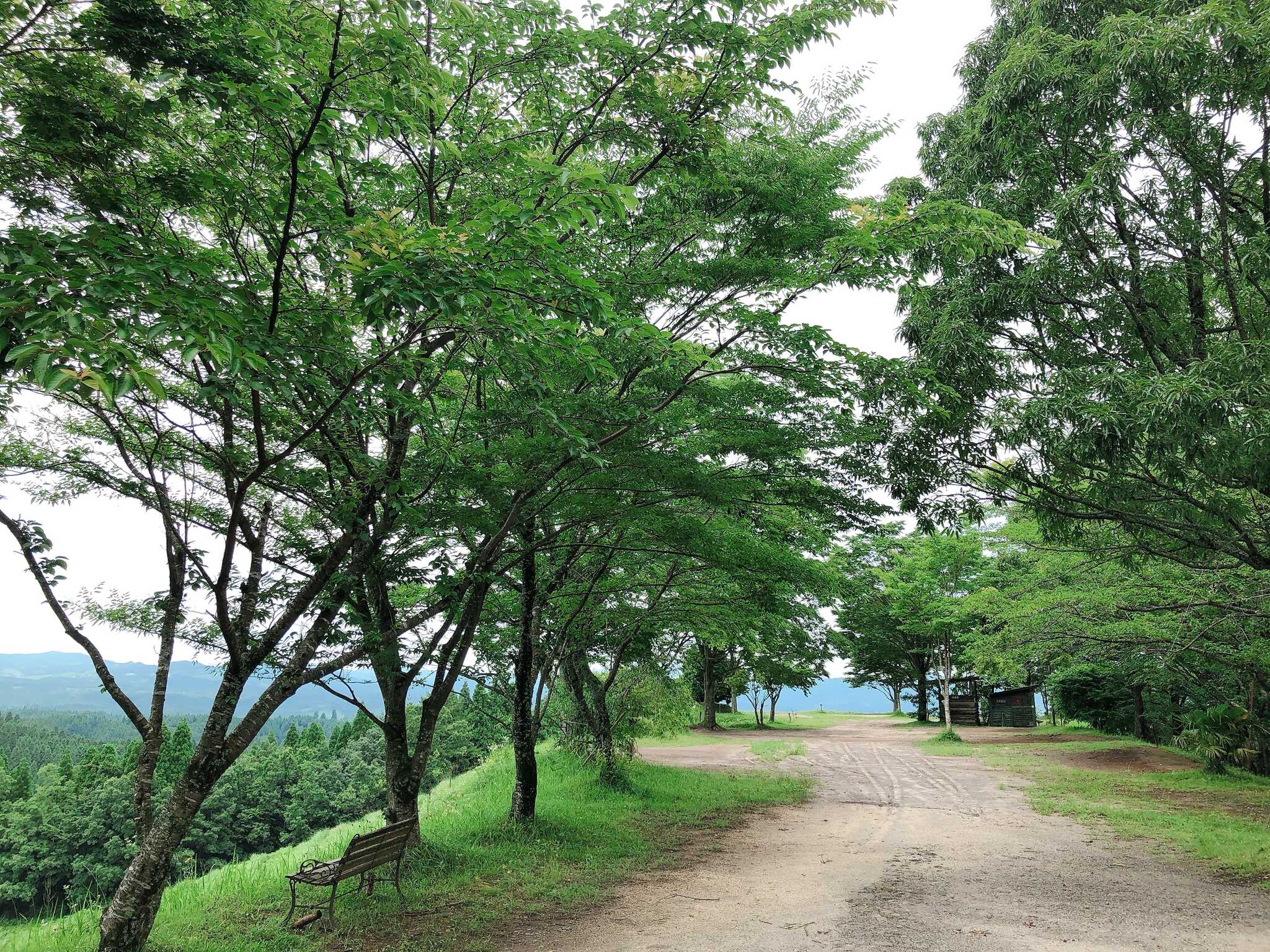 蔵迫温泉さくら コテージ&キャンプの写真 1枚目