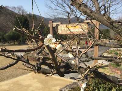 香木の森公園の写真 1枚目