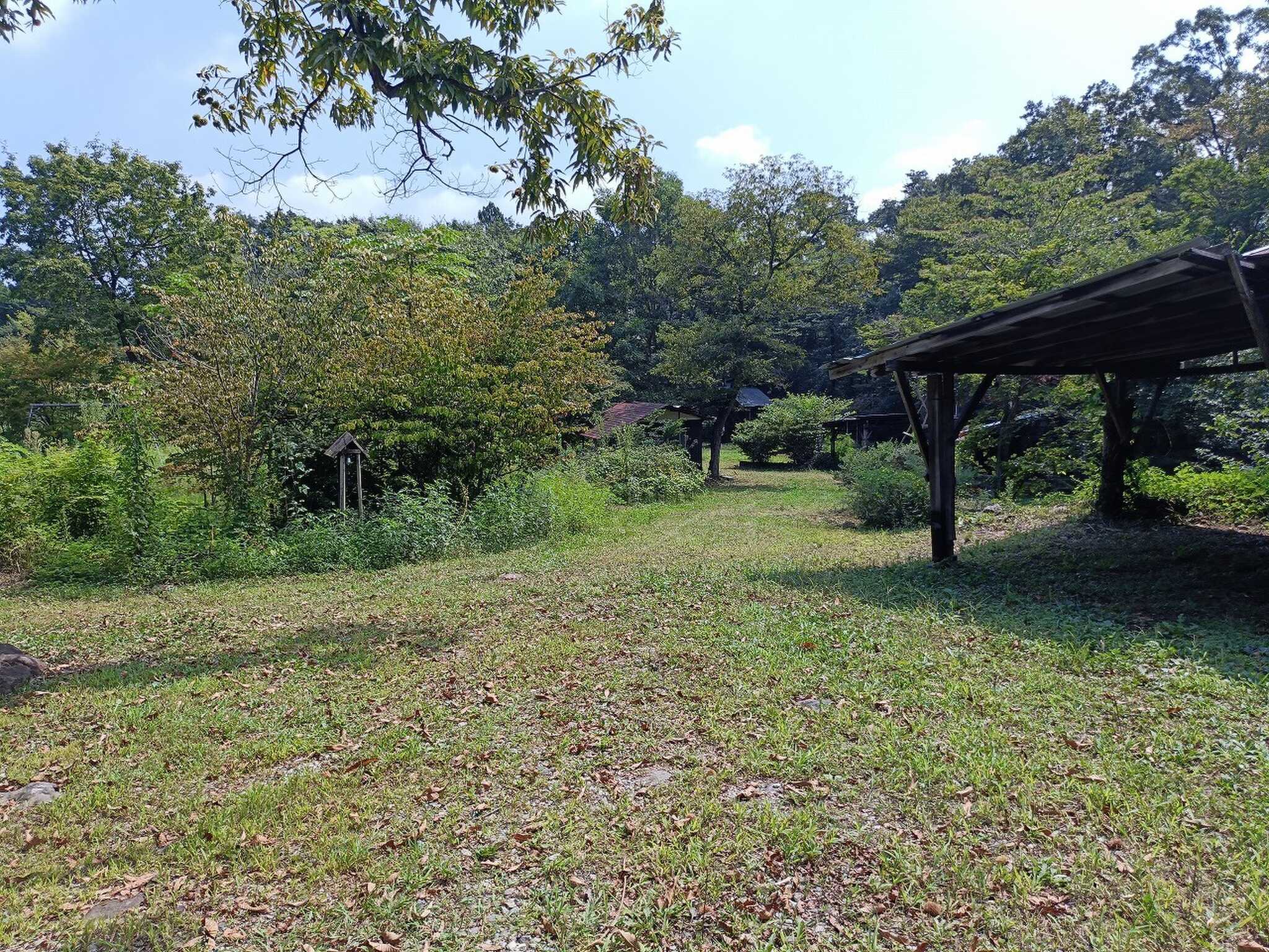 WAQWAQ ADVENTURE FIELD DOG & TREEの写真 3枚目