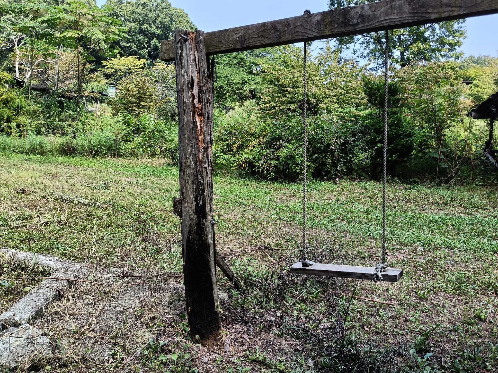 WAQWAQ ADVENTURE FIELD DOG & TREEの写真 4枚目