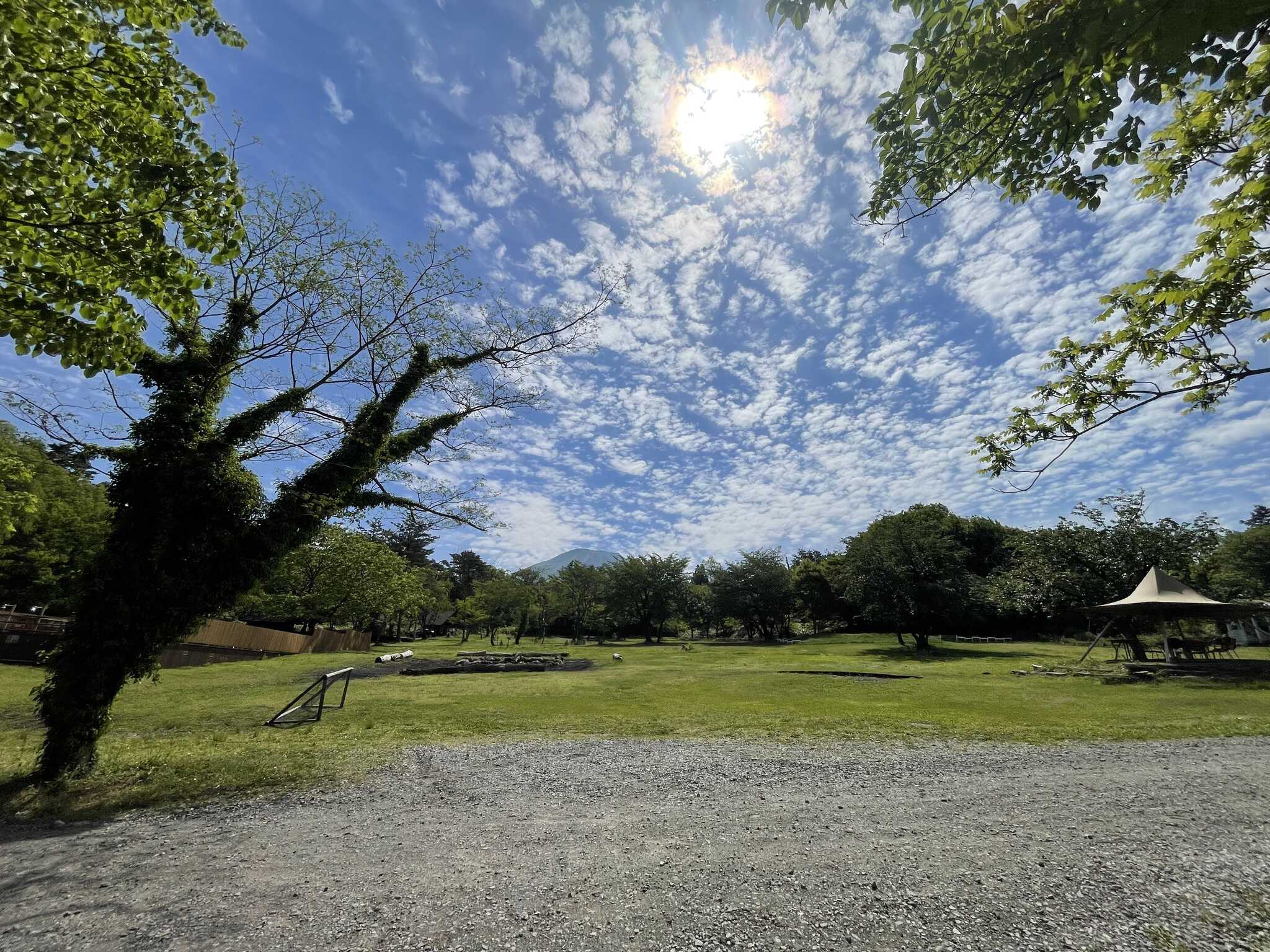 FBI DAISENの写真 1枚目